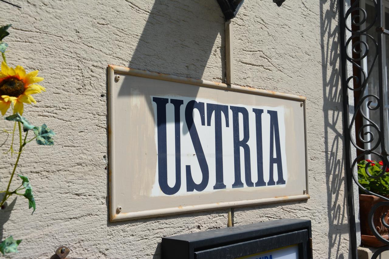 Ustria Crusch Alva Bed & Breakfast Tavanasa Exterior photo